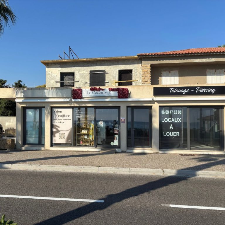 Facades-locaux-commerciaux-location