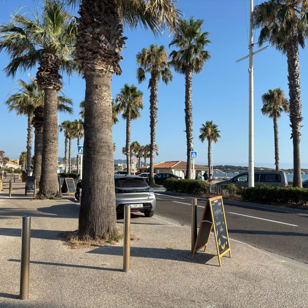 promenade-front-de-mer-emplacement-commercial